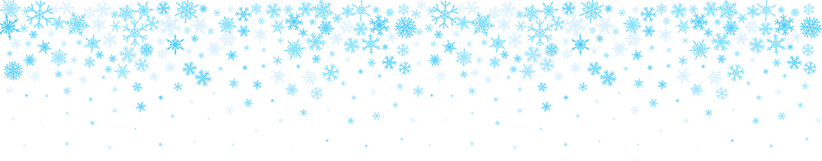 Blue Snowflake Header.jpg